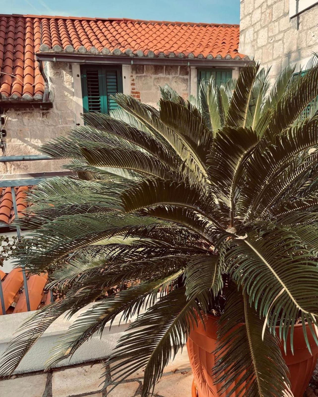Villa Saint Lucas سبليت المظهر الخارجي الصورة